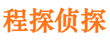 武山私家调查公司